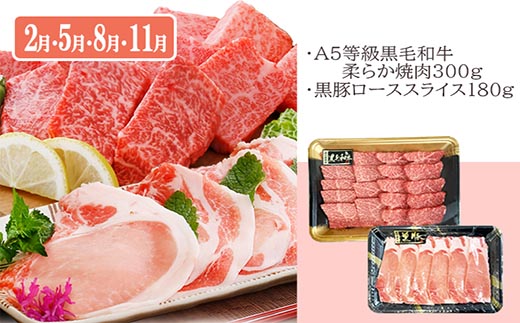 定期便(3回配送)鹿児島産A5等級黒毛和牛&黒豚 EE-6014【配送不可地域：離島】【1471286】