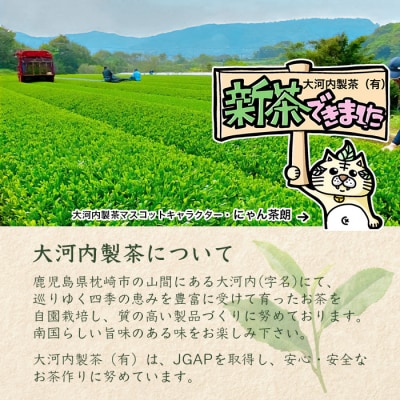 【新茶】新茶80g×5本 深蒸し茶 鹿児島県 枕崎産 産地直送 A8-72【1167092】