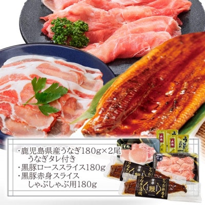 鹿児島W名物!鰻360g(180g×2尾)×黒豚しゃぶしゃぶ用(ロース/赤身)各180g　B4-7【配送不可地域：離島】【1645667】