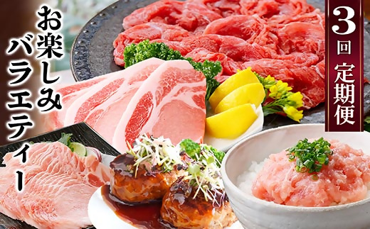 定期便3回配送　お楽しみバラエティー　OO-0004【配送不可地域：離島】【1528204】