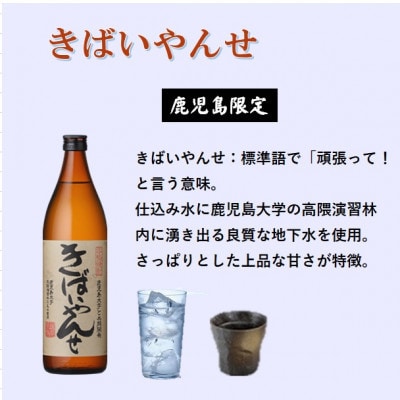 【本格焼酎】きばいやんせ【鹿児島限定】 900ml×1本 Y0−2【1573814】