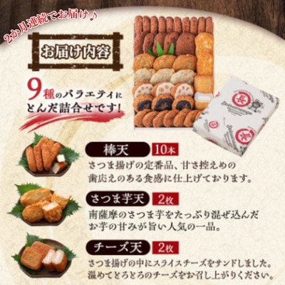 【毎月定期便】鹿児島 さつまあげ 松野下蒲鉾 さつま揚げ詰合せ BB5-0011全2回【配送不可地域：離島】【4088170】