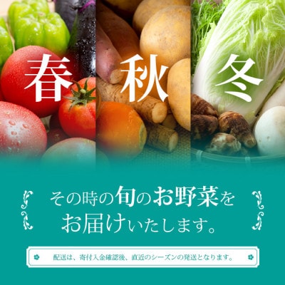 枕崎には野菜もある!!定番・旬のお試し野菜セット　A0−38【配送不可地域：離島】【1535821】