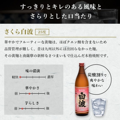 【本格焼酎】彩響・さくら白波【ソーダ割りが美味しい焼酎 900ml×2本】A3−349【1551241】