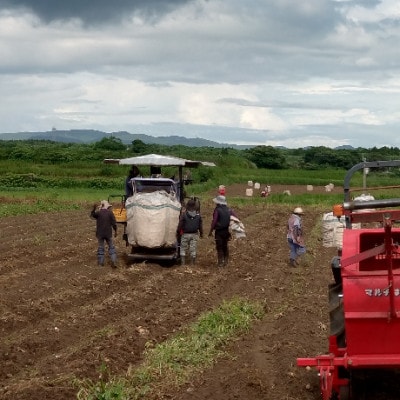 【毎月定期便】鹿児島限定の焼酎【南之方】900ml×3本セット PP-0006 全2回【配送不可地域：離島】【4071565】