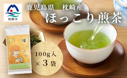 （一番茶葉のみ使用）ほっこり煎茶【100ｇ×3袋】道野製茶 AA-669