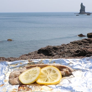 【訳あり】枕崎からの贈り物 かつおの腹皮【合計3Kg(12〜16パック)】 A3−47【配送不可地域：離島】【1166527】