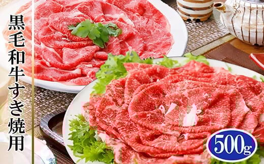 A5等級黒毛和牛すき焼き用500g A3-124【配送不可地域：離島】【1166306】