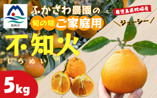 不知火 計5kg 鹿児島県枕崎市産　ご家庭用 A6-175【1697636】