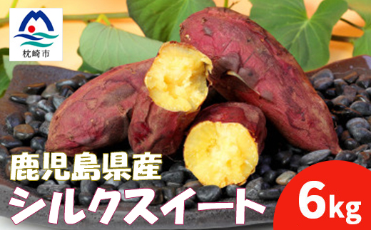 【先行予約】本場鹿児島さつまいも【シルクスイート】6kg　2025年10月より発送A3-58【配送不可地域：離島】【1170448】