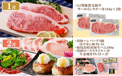 定期便8回配送　ぜいたく!!お楽しみ定期便　HH0-0001【配送不可地域：離島】【1505356】