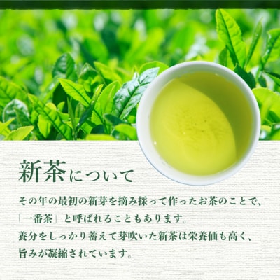 【新茶】新茶80g×5本 深蒸し茶 鹿児島県 枕崎産 産地直送 A8-72【1167092】