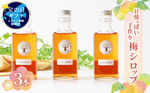 【父の日】ふかざわ農園の梅シロップ 手づくり シロップ ジュース 希釈用 A3-27F【配送不可地域：離島】【1500170】