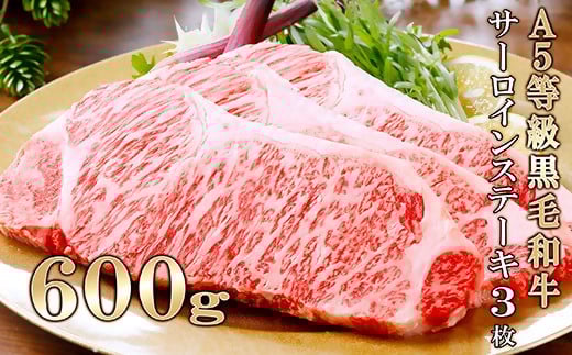 鹿児島県産A5等級黒毛和牛サーロインステーキ3枚(600g) C0-17【配送不可地域：離島】【1166313】