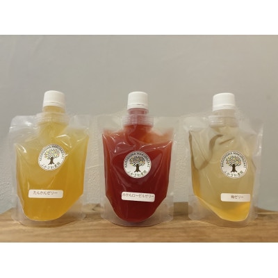 まるで果実!!南薩摩の果汁たっぷりゼリー6個箱入り Z0-59【配送不可地域：離島】【1697727】