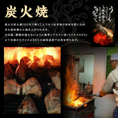 一本釣りゆず香り焼き鰹タタキ800g A0−23【配送不可地域：離島】【1460789】