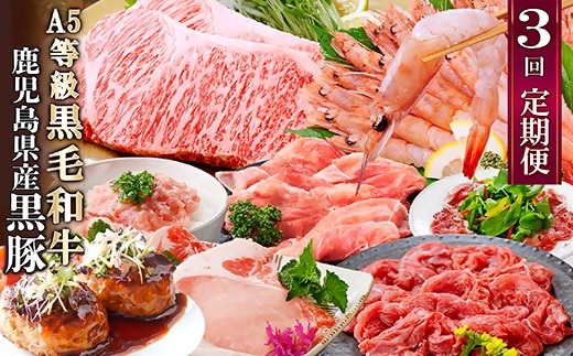 定期便3回配送　黒毛和牛・黒豚&タカエビ　 DD5-0001【配送不可地域：離島】【1573840】
