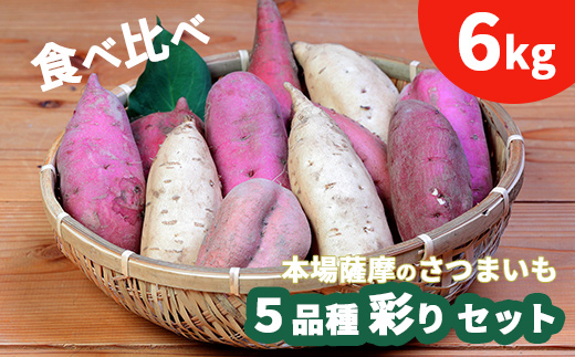 鹿児島さつまいも 5品種 食べ比べ 6kg 　2024年10月上旬より発送A3−54【1167097】