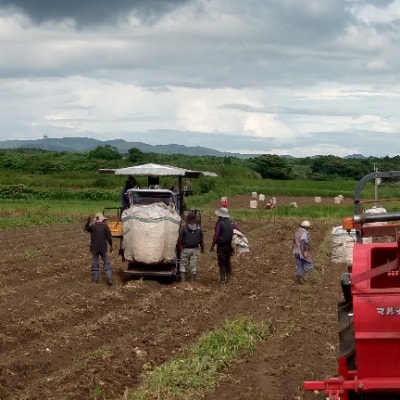 【本格焼酎】南之方　1800mlパック×4パック C0-79【配送不可地域：離島】【1720399】