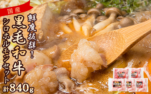 国産黒毛和牛シロホルモンセット　840g A3-383【配送不可地域：離島】【1694678】