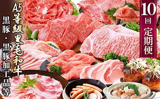 定期便(1年で10回配送)お楽しみ便(A5等級黒毛和牛・黒豚)HH-6004【配送不可地域：離島】【1166752】