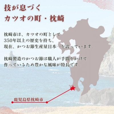 枕崎かつおつゆ 1L(×10本)(枕崎市) B3-96【配送不可地域：離島】【1625470】