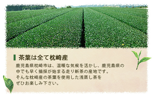 【2026年5月以降発送】浅蒸し煎茶(50g×2袋)【若蒸し煎茶】【合計100g】X0-16【配送不可地域：離島】【1611606】