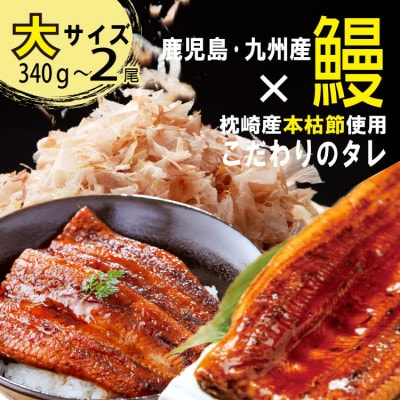 大サイズ　国産うなぎ蒲焼　2尾(約340g〜約380g)A8−103【配送不可地域：離島】【1585812】