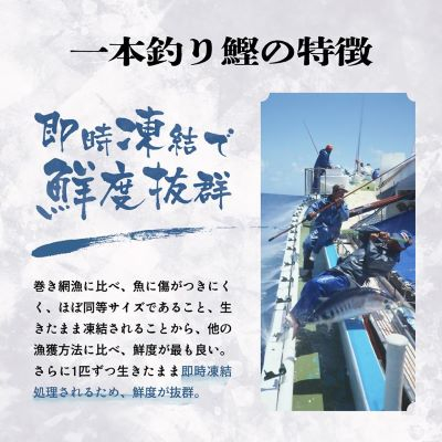 枕崎ぶえん鰹　(活き〆かつお)血合い抜き刺身 1kg A3-143【配送不可地域：離島】【1166321】