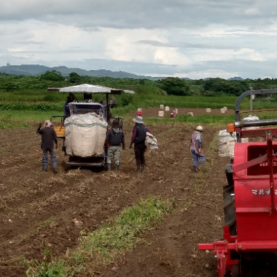 【本格焼酎】南之方【鹿児島限定】1800ml×3本　B5-10【配送不可地域：離島】【1605261】