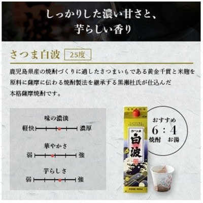 【毎月定期便】薩摩酒造の本格芋焼酎【さつま白波】1800ml×6パック JJ18-03全4回【配送不可地域：離島】【4088259】