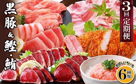定期便3回配送　黒豚&かつお・まぐろ　QQ-0001【配送不可地域：離島】【1512238】