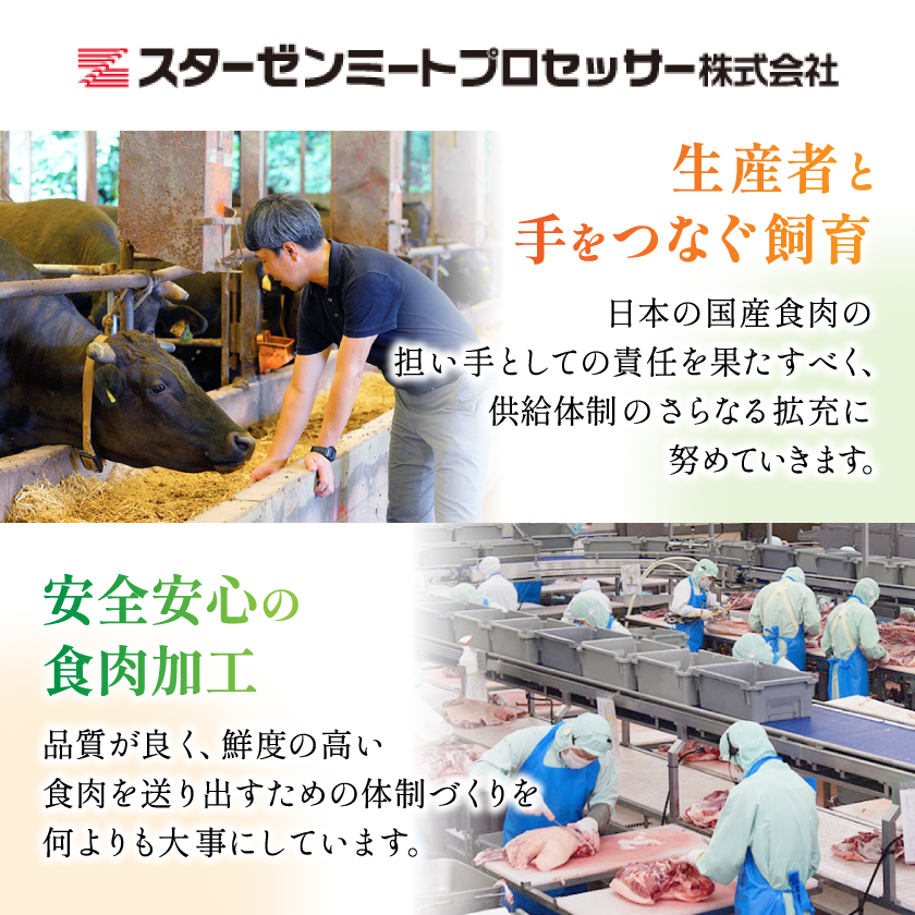 ã鹿å
å³¶çç£ã黿¯åç ãµãŒãã€ã³ã¹ããŒã çŽ510g (çŽ170gÃ3æ)(æåŽåž) B3-89ãé
éäžå¯å°åïŒé¢å³¶ãã1616196ã