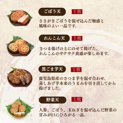 無添加 甘さ控えめ 本場薩摩のこだわりさつま揚げ詰合せ　お試し X0-31【配送不可地域：離島】【1738034】