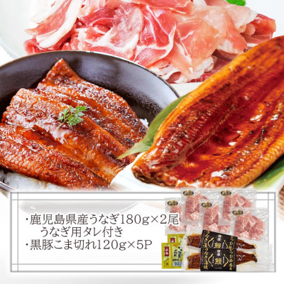 鹿児島W名物!鰻360g(2尾)×黒豚小間切れ600g(120g×5P)　人気セット　B3-110【配送不可地域：離島】【1645668】