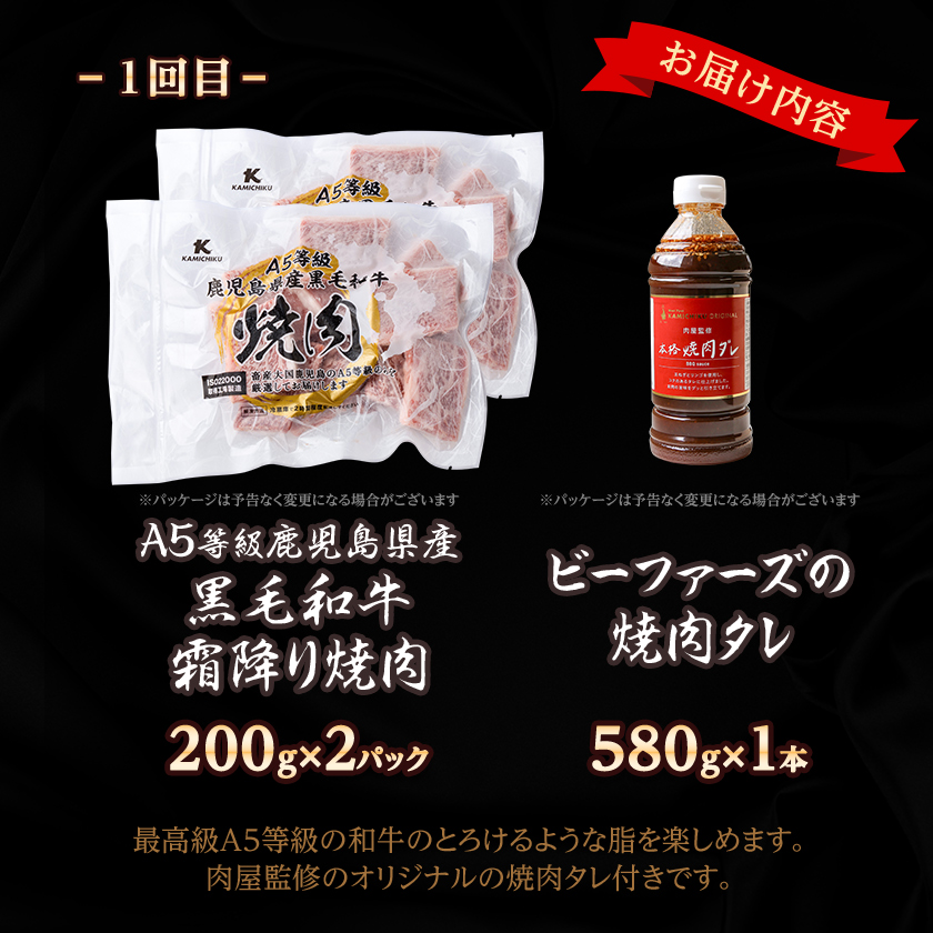 【毎月定期便】黒毛和牛焼肉お楽しみ定期便1.2kg(枕崎市) DD0-0029 全3回【配送不可地域：離島】【4072115】