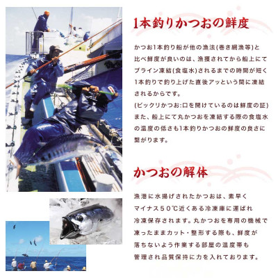 【2Kg】1本釣り血合抜き(炭焼かつおたたき・刺身) A8-38【配送不可地域：離島】【1166294】