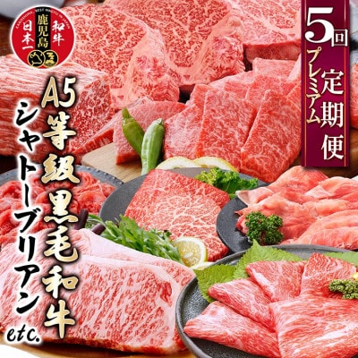 定期便(5回配送)A5等級黒毛和牛シャトーブリアン・サーロインステーキetc GG-0030【配送不可地域：離島】【1166762】