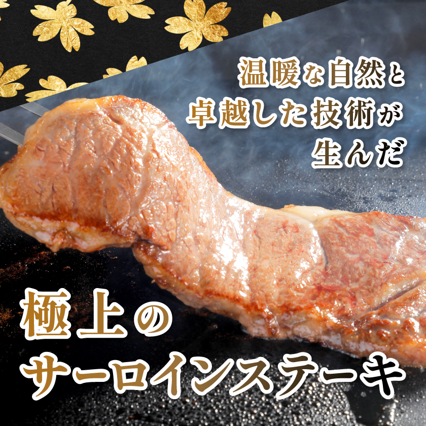 ã鹿å
å³¶çç£ã黿¯åç ãµãŒãã€ã³ã¹ããŒã çŽ510g (çŽ170gÃ3æ)(æåŽåž) B3-89ãé
éäžå¯å°åïŒé¢å³¶ãã1616196ã