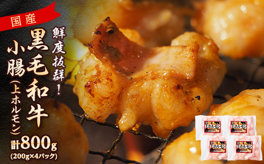 蝗ス逕」鮟呈ッ帛柱迚帛ー剰ク(荳翫帙Ν繝「繝ウ)800g(200gテ4繝代ャ繧ッ)(譫募エ主ク) Z0窶57縲宣埼∽ク榊庄蝨ー蝓滂シ夐屬蟲カ縲代1650522縲