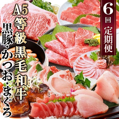 定期便(6回)A5等級黒毛和牛・黒豚・かつお・まぐろ FF-0058【配送不可地域：離島】【1166770】