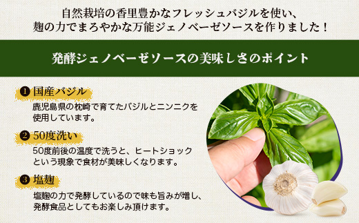 発酵ジェノベーゼソース(150g×4個)【鹿児島県枕崎産 バジル使用】B0-9【配送不可地域：離島】【1611641】