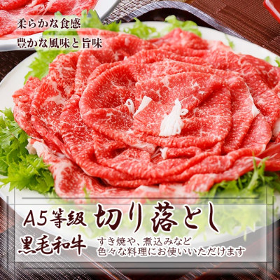 鹿児島県産黒毛和牛すき焼用550g MM-245【配送不可地域：離島】【1166330】