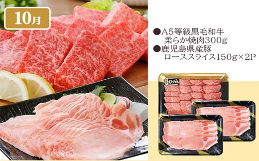 1年で6回配送　お楽しみグルメ定期便　FF-6006【配送不可地域：離島】【1497132】