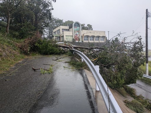 令和6年台風10号