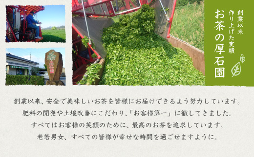 【お歳暮・のし付き】お茶の“厚石園”の特選深蒸しセット【極上・特上 計3パック】緑茶 B3-30S【配送不可地域：離島】【1461781】