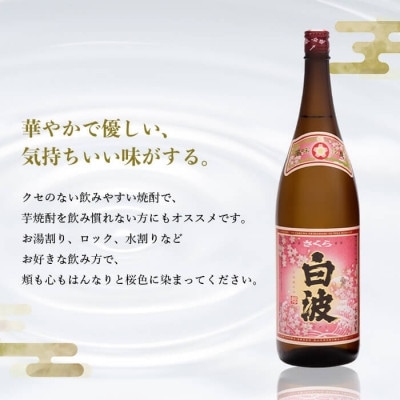 【毎月定期便】薩摩酒造の定番の焼酎【さくら白波】1800ml×2本セット PP-0004 全2回【配送不可地域：離島】【4071373】