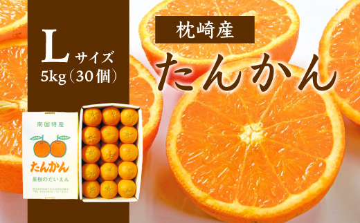 【Lサイズ】南国特産もぎたて たんかん 5kg【先行受付】2月下旬より順次発送 A8-121【配送不可地域：離島】【1466322】