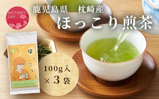 【母の日】ほっこり煎茶 100g×3袋 A5-1M【配送不可地域：離島】【1494853】