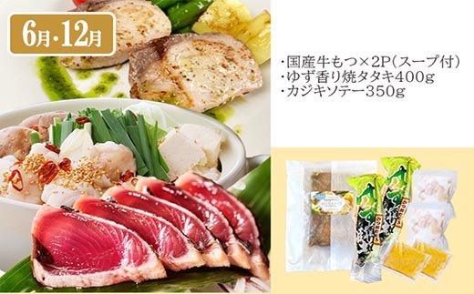 定期便6回配送 【当店限定】ごちそうまんきつセット FF-6004【配送不可地域：離島】【1492208】